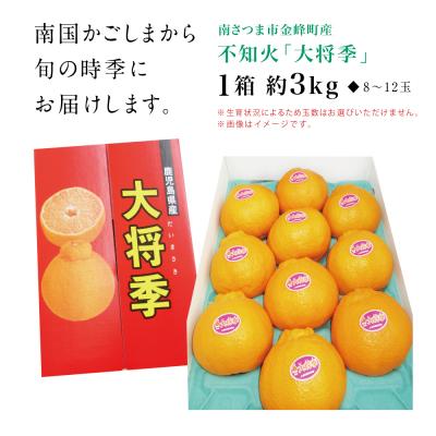 ふるさと納税 南さつま市 【11月末〜12月発送】ブランド不知火「大将季」 約3kg入り化粧箱 (8玉〜12玉) ★数量限定★ |  | 03