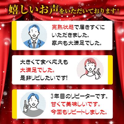 ふるさと納税 西都市 西都市特産品　宮崎県完熟マンゴー3L×2個　先行受付[3314] |  | 02