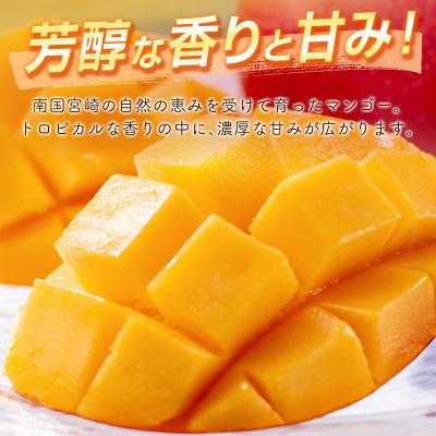 ふるさと納税 西都市 西都市特産品　宮崎県完熟マンゴー3L×2個　先行受付[3314] |  | 03