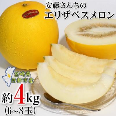 ふるさと納税 西都市 [先行受付]安藤さんちのエリザベスメロン約4kg[1898]