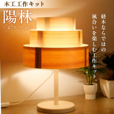ふるさと納税 津別町 木工工作キット「陽林」 加賀谷木材 | 北海道津別町