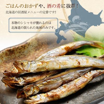ふるさと納税 釧路市 【オスメス食べ比べ】北海道産・ししゃもセット ふるさと納税 ししゃも F4F-3597_2