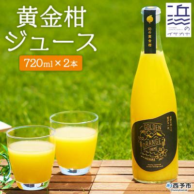 ふるさと納税 西予市 <黄金柑ジュース[2本セット](愛媛県明浜産)> 柑橘 フルーツ 飲料 ジューシー