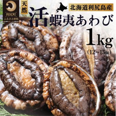 ふるさと納税 利尻町 【10月〜12月発送】天然蝦夷『活』アワビ1kg 利尻島産 昆布育ちの美味しい鮑[1060002] | 