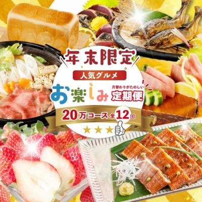ふるさと納税 四万十市 [年末限定12回定期便]四万十の人気グルメお楽しみ しまんとふるさと定期便20万円コースR7-616