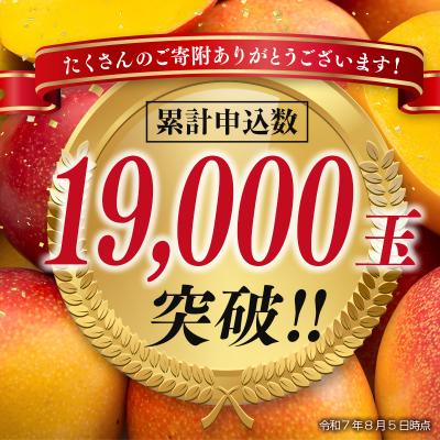 ふるさと納税 西都市 宮崎県完熟マンゴー2玉計約700g(2L×2個)西都市特産品【先行受付】[1904] |  | 01