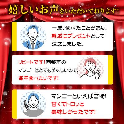 ふるさと納税 西都市 宮崎県完熟マンゴー2玉計約700g(2L×2個)西都市特産品【先行受付】[1904] |  | 02