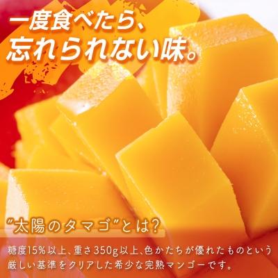 ふるさと納税 西都市 西都市特産品 太陽のタマゴ2L×2個  宮崎県産完熟マンゴー【先行受付】[1905] |  | 01