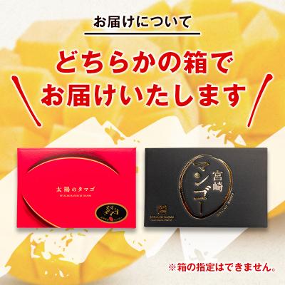 ふるさと納税 西都市 西都市特産品 太陽のタマゴ2L×2個  宮崎県産完熟マンゴー【先行受付】[1905] |  | 02