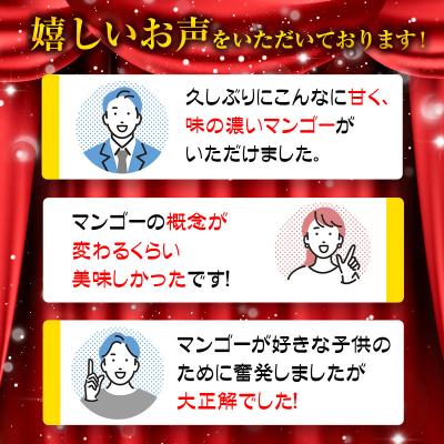 ふるさと納税 西都市 西都市特産品 太陽のタマゴ2L×2個  宮崎県産完熟マンゴー【先行受付】[1905] |  | 03