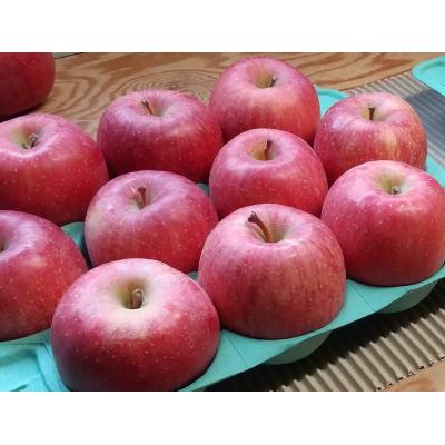 ふるさと納税 湯沢市 湯沢市三関産りんご(ふじ)3kg[K2801]