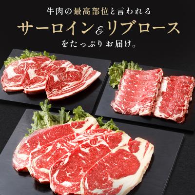 ふるさと納税 士幌町 しほろ牛定期便(全3回)[X21]