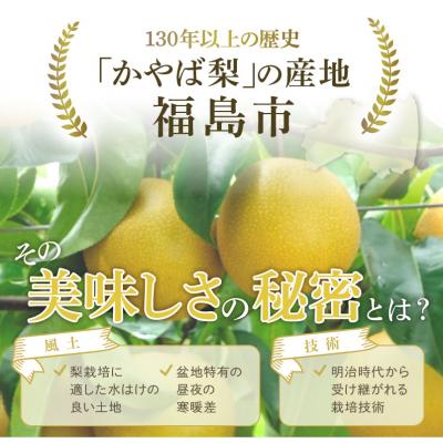 ふるさと納税 福島市 梨　なし　あきづき　約3kg　【2026年発送】No.1718_1