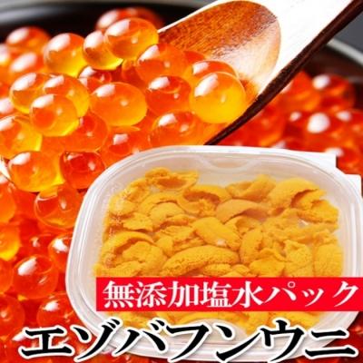 ふるさと納税 根室市 エゾバフンウニ塩水1P、いくら1P
