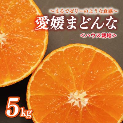 ふるさと納税 愛南町 先行受付 こだわりハウス栽培 正品 まどんな (愛果28号) 5kg 前田ファーム