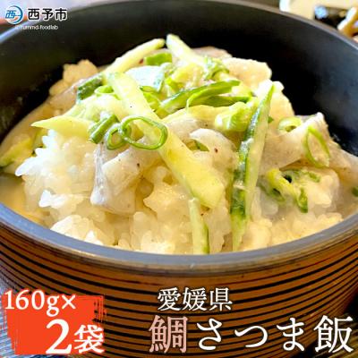 ふるさと納税 西予市 <愛媛県 鯛さつま飯(2袋)> 郷土料理 魚 丼 特産品