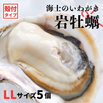 ふるさと納税 海士町 [のし付き]海士のいわがき 2kg〜2.5kg 巨大LLサイズ5個 岩牡蠣 牡蠣 かき CAS冷凍