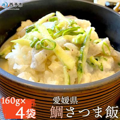 ふるさと納税 西予市 <愛媛県 鯛さつま飯(4袋)> 魚 丼 郷土料理 特産品