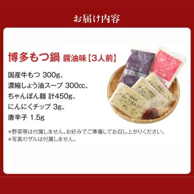 ふるさと納税 宗像市 【ご自宅用】博多もつ鍋 醤油味 (3人前)【海千】_AS0837-00 |  | 03