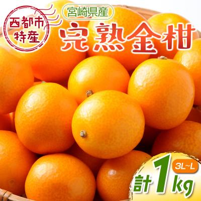 ふるさと納税 西都市 宮崎県西都市産完熟金柑1kg(3L〜L)西都市特産品[先行受付][1923]