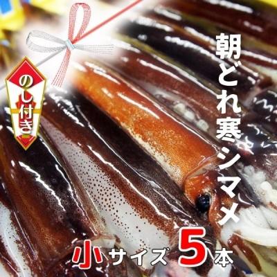 ふるさと納税 海士町 [のし付き]スルメイカ 小サイズ 160-200g×5杯 朝どれ鮮度 CAS冷凍 個包装