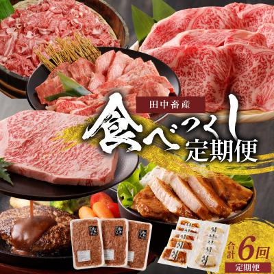 ふるさと納税 天草市 [定期便6回]田中畜産食べつくし定期便