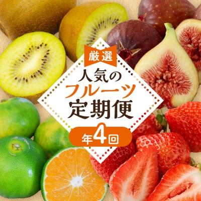 ふるさと納税 宗像市 【定期便/年4回】旬の福岡フルーツ定期便【ほたるの里】_AM0087-00 | 