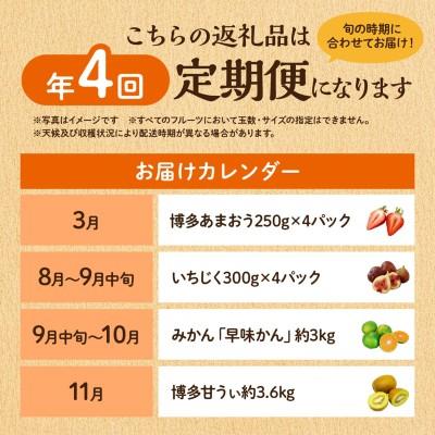 ふるさと納税 宗像市 【定期便/年4回】旬の福岡フルーツ定期便【ほたるの里】_AM0087-00 |  | 01