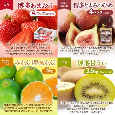 ふるさと納税 宗像市 【定期便/年4回】旬の福岡フルーツ定期便【ほたるの里】_AM0087-00 |  | 02