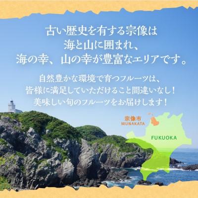 ふるさと納税 宗像市 【定期便/年4回】旬の福岡フルーツ定期便【ほたるの里】_AM0087-00 |  | 03