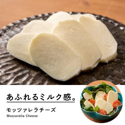 ふるさと納税 天塩町 べこちちFACTORY☆モッツァレラチーズセット