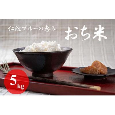 ふるさと納税 越知町 仁淀ブルーの恵み「おち米」 5kg