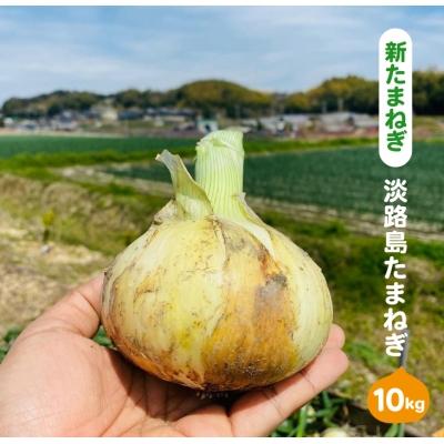 ふるさと納税 淡路市 [新たまねぎ]淡路島たまねぎ(10キロ)[発送時期5月頃]
