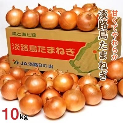 ふるさと納税 淡路市 JA淡路日の出の淡路島たまねぎ 10kg 淡路島産
