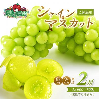 ふるさと納税 赤磐市 シャインマスカット 2房 8月下旬〜9月中旬発送分 ご家庭用 2026年[NO5765-0692]