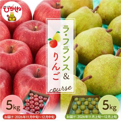 ふるさと納税 東根市 [2026年11月以降お届け]ラ・フランス&amp;りんご 2回定期便 hi003-158