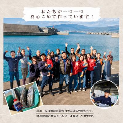 ふるさと納税 田野町 【四国一小さなまち】≪カネアリ水産≫★訳あり★ 高知県産カツオのわら焼きタタキ(タレ付)　1.8kg |  | 03