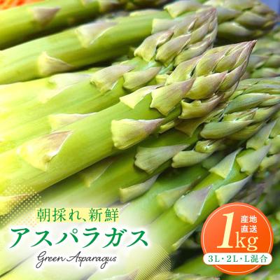 アスパラ ふるさと納税 津別町 【先行受付】R8年産 アスパラガス 1kg 山内農園
