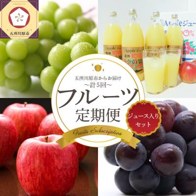 ふるさと納税 五所川原市 [7月発送開始]フルーツ定期便 5回 りんごジュース入り[訳あり]メロン ぶどう マスカット