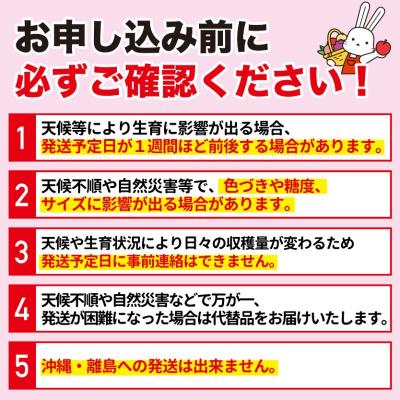 ふるさと納税 福島市 福島のもも「あかつき」約2kg【2026年発送 先行受付】No.1505の画像