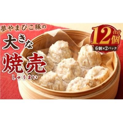 ふるさと納税 幸田町 夢やまびこ豚の大きな焼売 45g×12個(計 540g) シュウマイ 点心