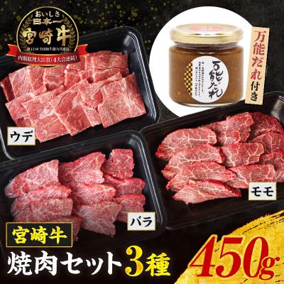 ふるさと納税 高千穂町 宮崎牛 焼肉セット (ウデ、バラ、モモ) 450g 万能だれ付き