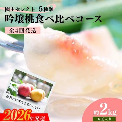 ふるさと納税 福島市 ★園主セレクト 5種類の吟壌桃 食べ比べコース★[全4回発送][2026年発送]No.1522