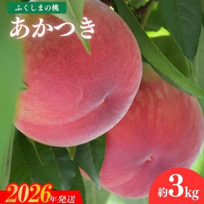 ふるさと納税 福島市 すずき果樹園 もも あかつき 約3kg[2026年発送 先行受付]No.1881