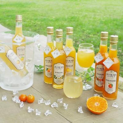 ふるさと納税 南さつま市 柑橘フルーツシロップ 300ml×7本セット