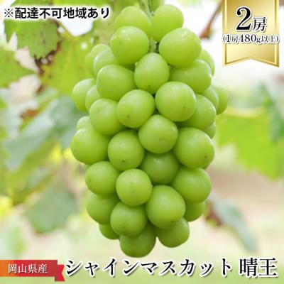 ふるさと納税 瀬戸内市 シャイン マスカット 晴王 2房 (1房480g以上)化粧箱入 岡山県産