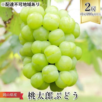 ふるさと納税 瀬戸内市 [2026年先行受付] 桃太郎 ぶどう 2房(1房480g以上)岡山県産