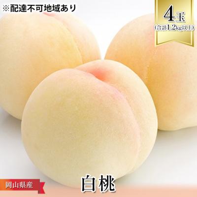 ふるさと納税 瀬戸内市 [2026年先行受付]白桃 4玉(合計1.2kg以上)化粧箱入 岡山県産