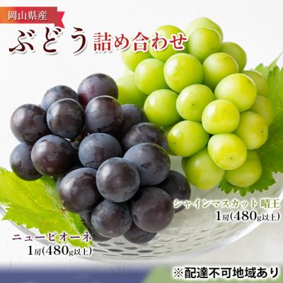 ふるさと納税 瀬戸内市 ぶどう詰め合わせ ニュー ピオーネ ・ シャイン マスカット晴王 各1房