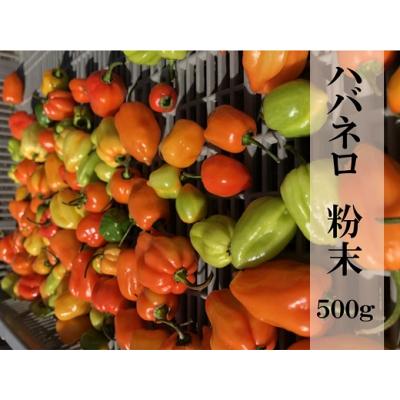 ふるさと納税 熊野市 [テレビで紹介されました][熊野唐辛子]ハバネロ(粉末) 500g